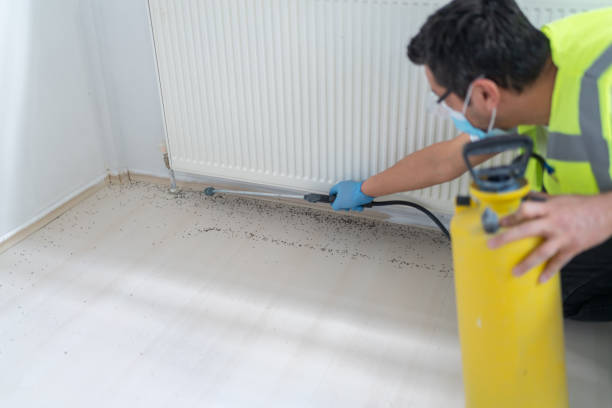 Best Bed Bug Extermination  in Central City, NE